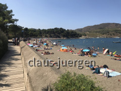 Anse de Paulilles (37)