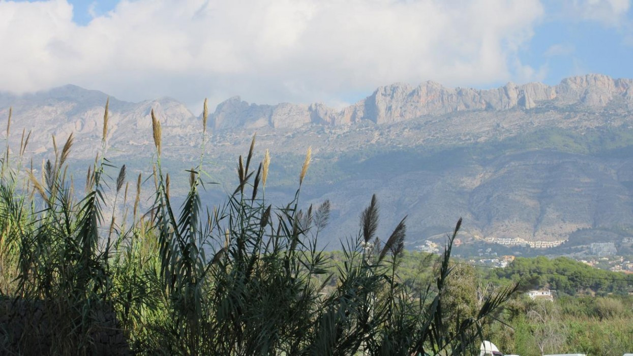 Altea_34