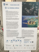 Udine (19)