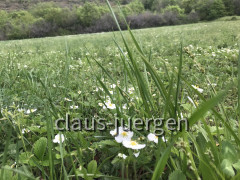 Wanderung Dvigrad 05 (6)