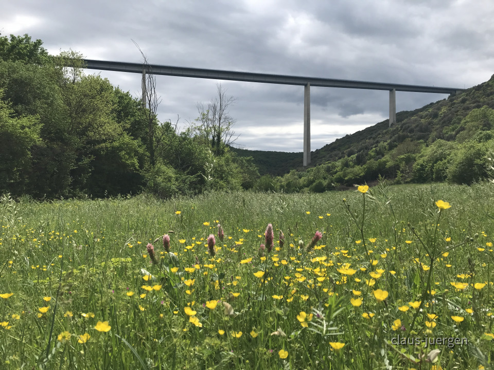 ?random=0&maxWidth=0&embedded=0#imageAnker_75008