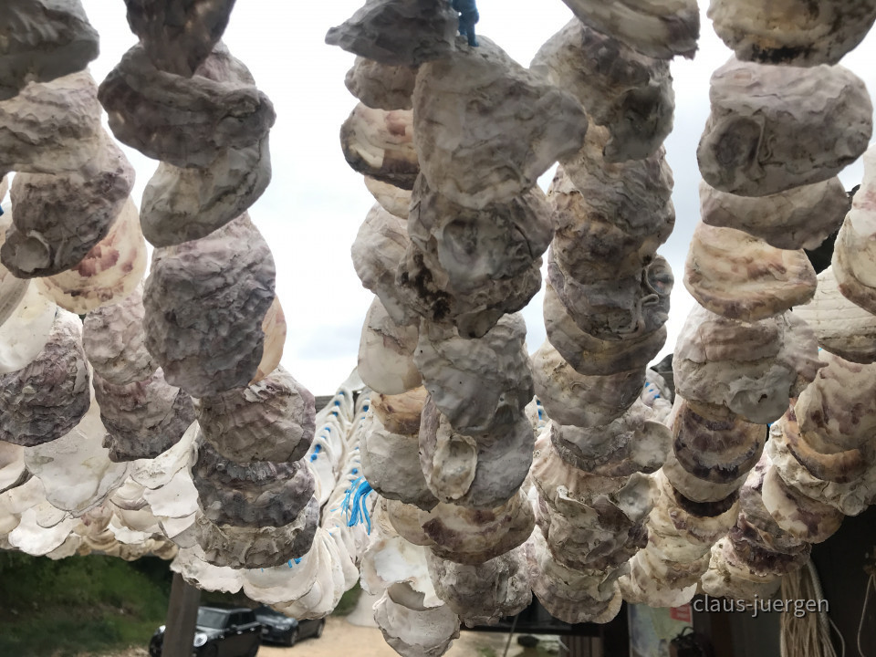 ?random=0&maxWidth=0&embedded=0#imageAnker_75015