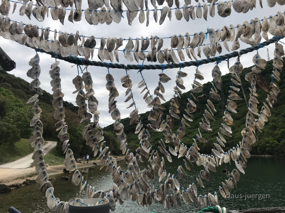 ?random=0&maxWidth=0&embedded=0#imageAnker_75024