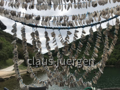 Wanderung Dvigrad 05 (46)