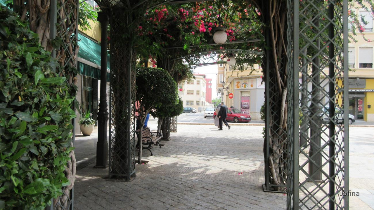 Orihuela 45