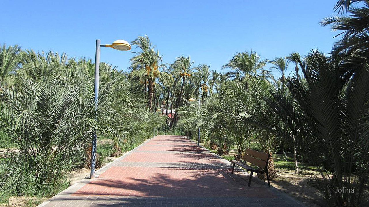 Orihuela 63