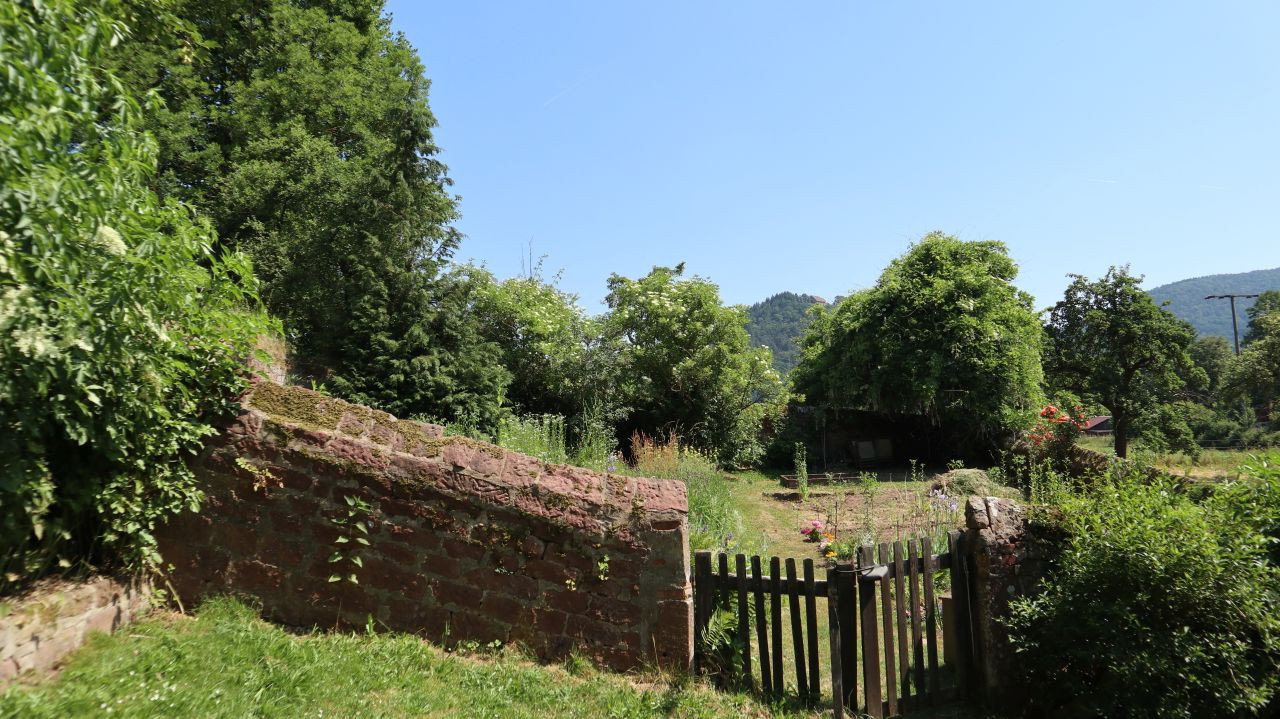 Friedhof2