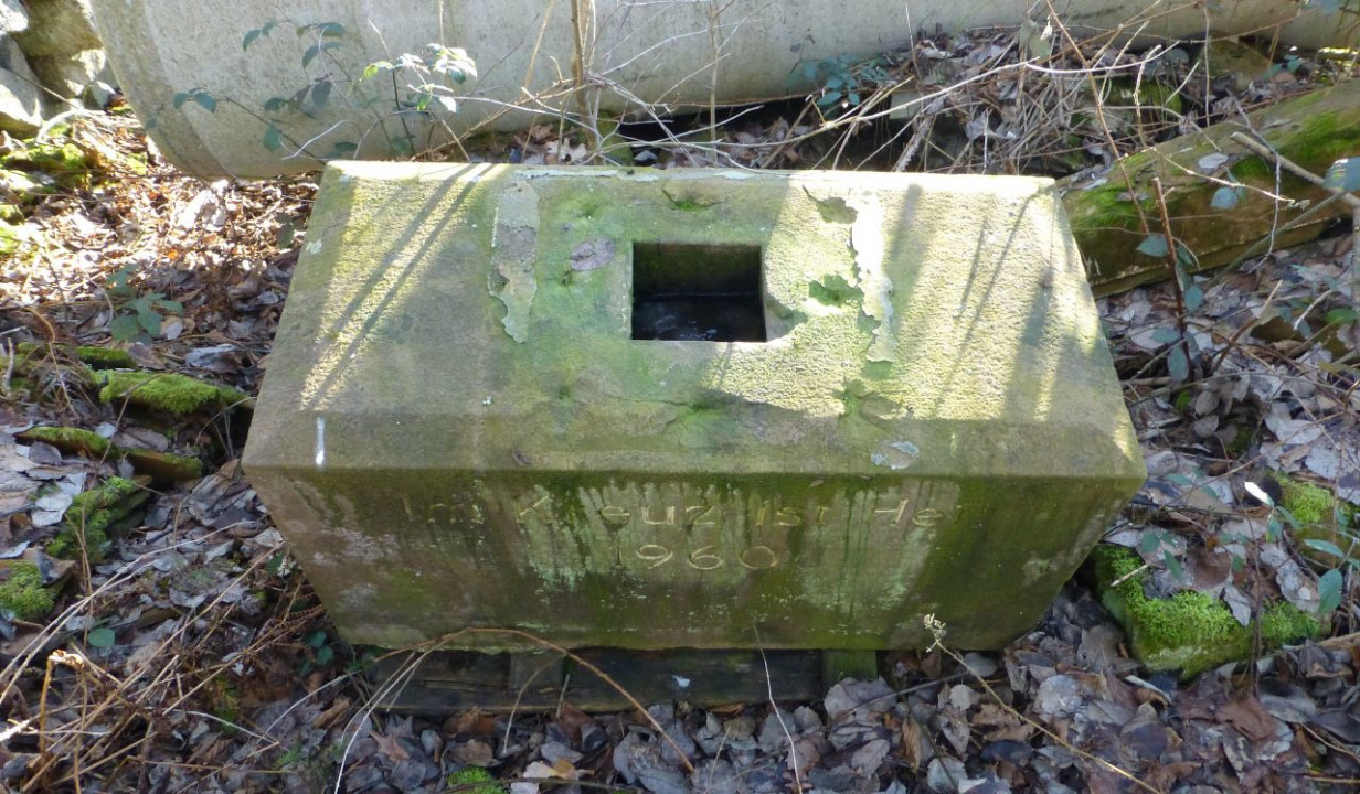 Steinbruch5