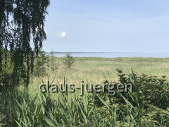 Altwarp (13)