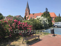 Neuwarp (15)