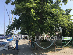 Neuwarp (23)