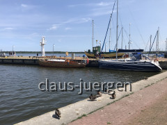 Neuwarp (27)