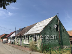 Neuwarp (41)