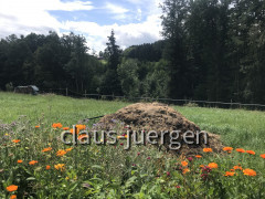 Ottobeuren (1)