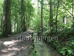 Ottobeuren (5)