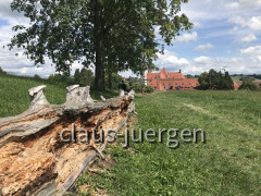 Ottobeuren (13)