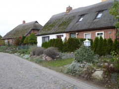 Spaziergang in Groß Zicker
