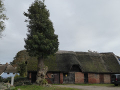 Spaziergang in Groß Zicker