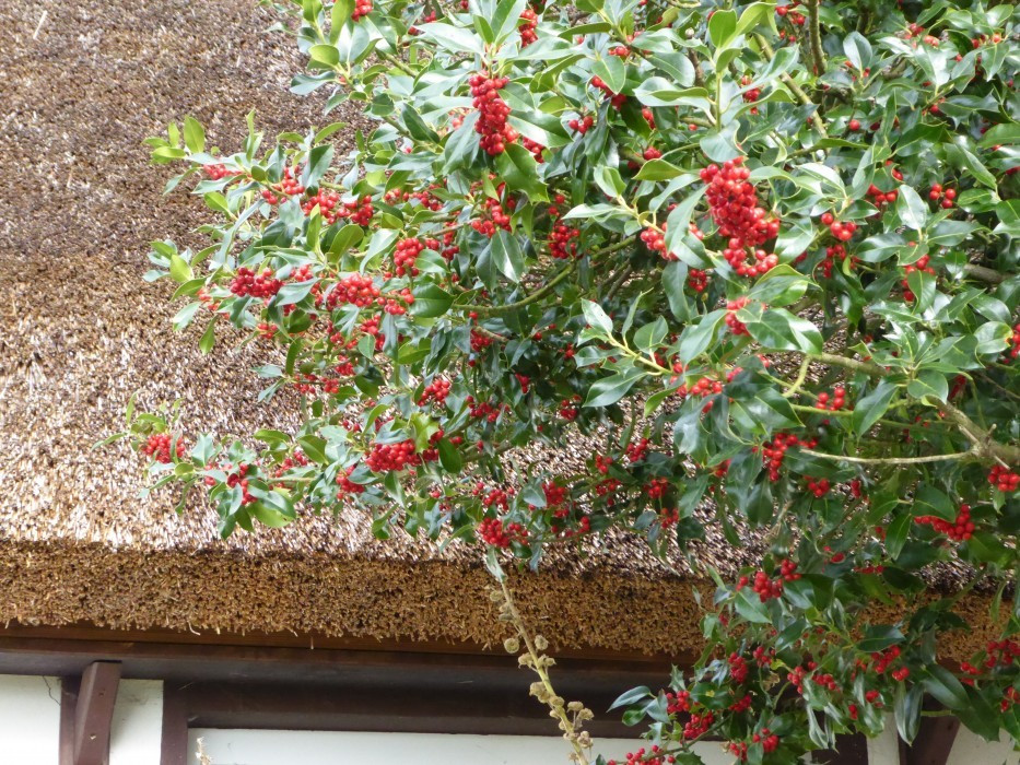 Spaziergang in Groß Zicker