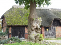 Spaziergang in Groß Zicker