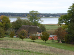 15 Groß Zicker