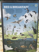 Pag Blato Jezero (6)