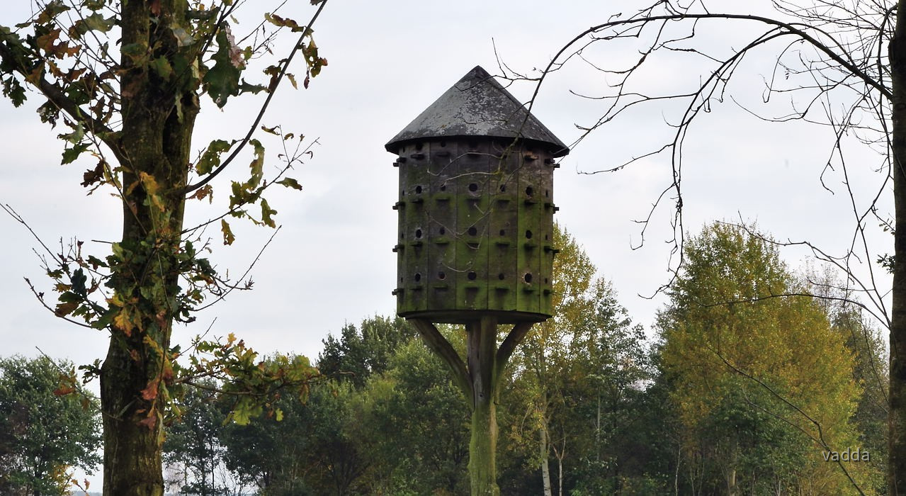 Diepholzer Moorniederung 4103