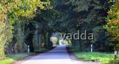 Diepholzer Moorniederung 4132