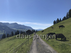 Renkknie (11)