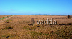 Diepholzer Moorniederung 4154