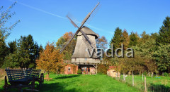 Diepholzer Moorniederung 4172