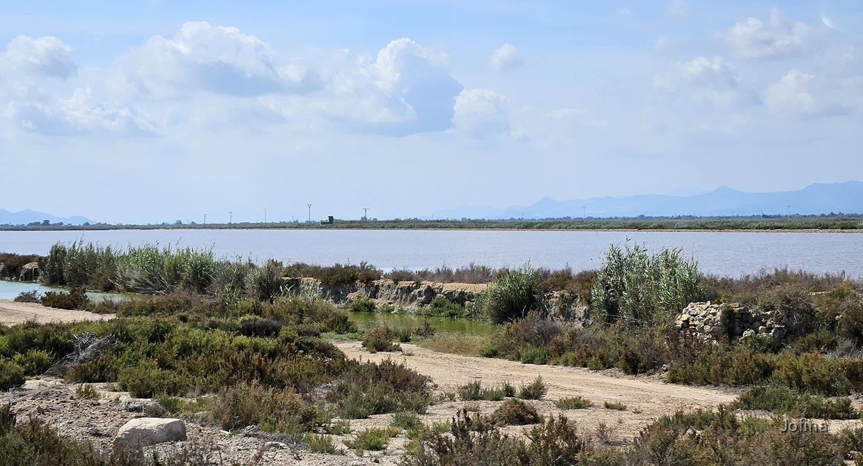 Salinas Santa Pola 07