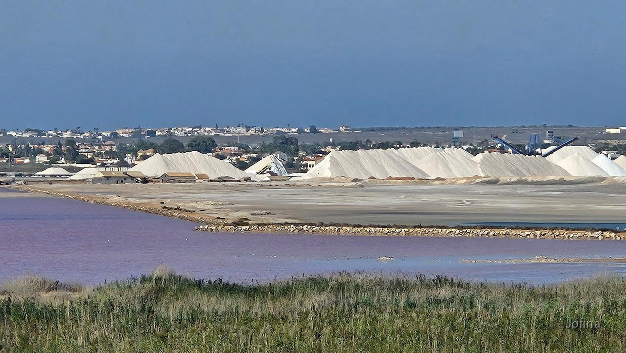 Salinas Torrevieja 03