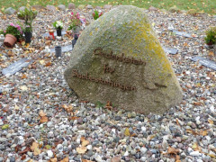 Seestein