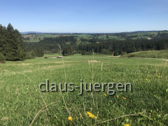 Wolfskopf (12)