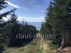 Wolfskopf (7)