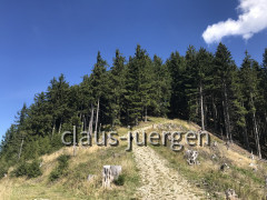 Wolfskopf (23)