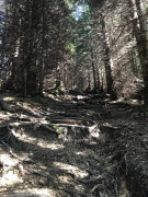 Wolfskopf (26)