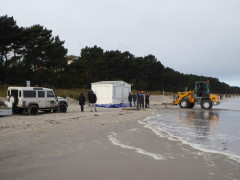 Binz Strand