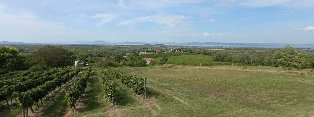 Balatonlelle Présház Ausblick2