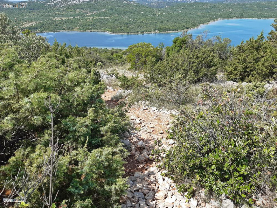 39_Makirina vrh