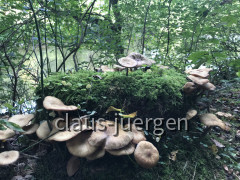 0515E8B0-C6F4-4290-B5EE-4EC8AB5E5C7E