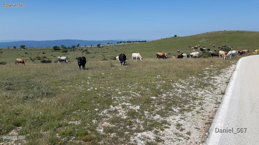 02_Vrlika Festung Prozor
