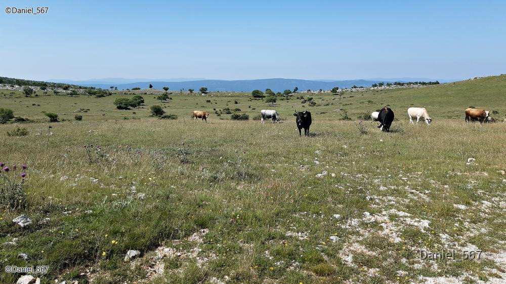 04_Vrlika Festung Prozor