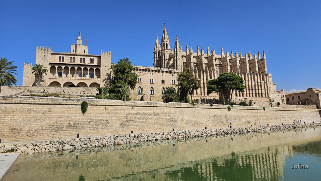 07 Palma 01