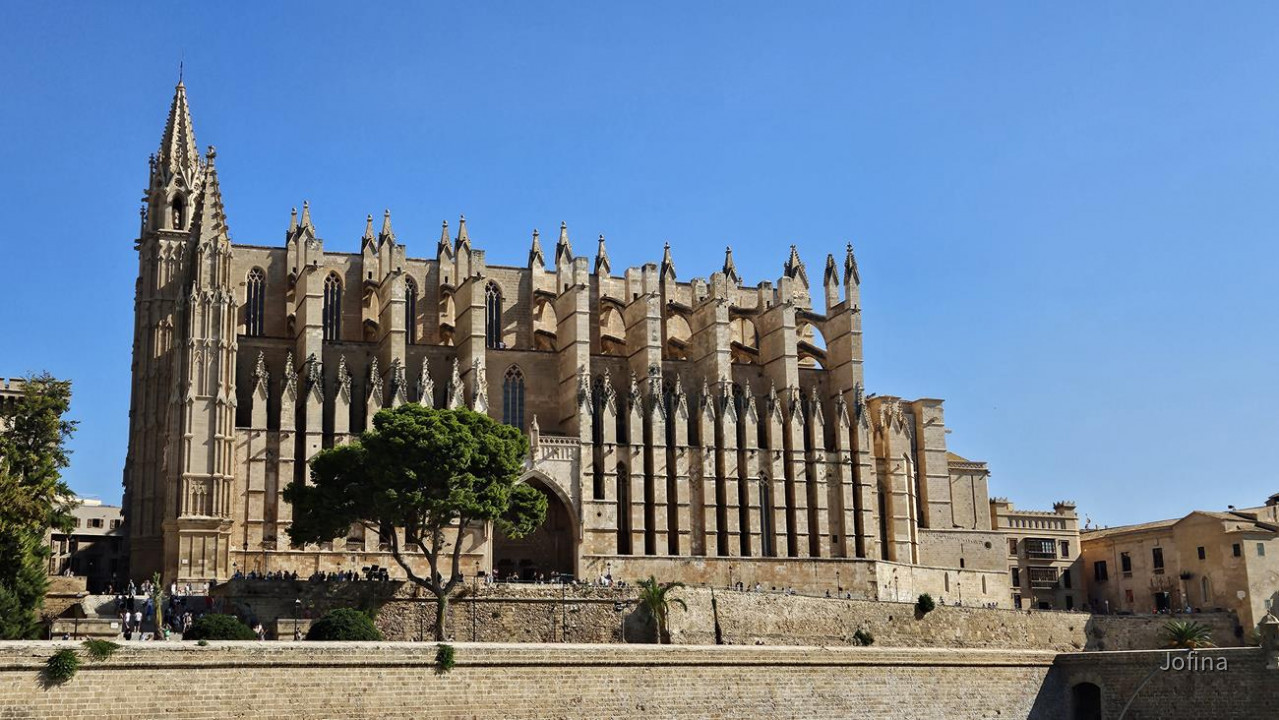 07 Palma 02