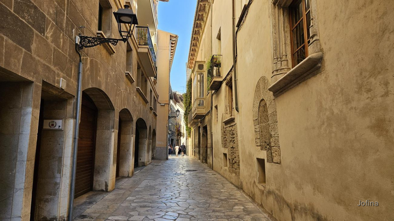 07 Palma 04