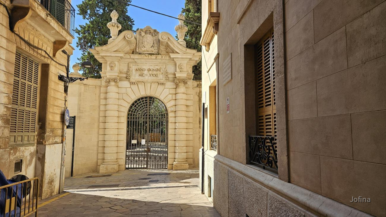 07 Palma 07