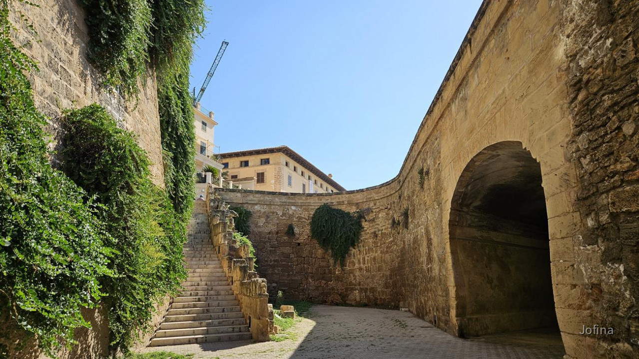 07 Palma 09