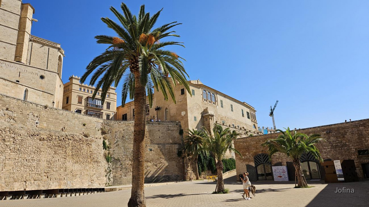 07 Palma 10